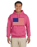 American's Flag Gildan Hoodies