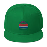 Gambian Flag Snapback Hat