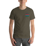 Gambian Flag Unisex T-shirt